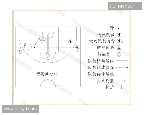 南京篮球队战术解析与未来发展方向的深度探讨
