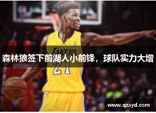 森林狼签下前湖人小前锋，球队实力大增
